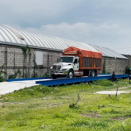 báscula para camión torton precio