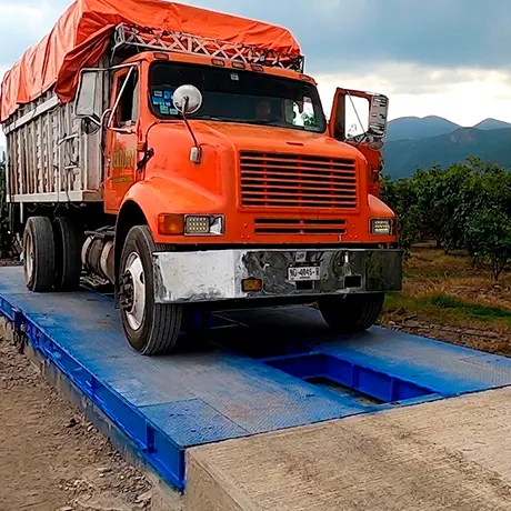 básculas camioneras de diseño modular en méxico